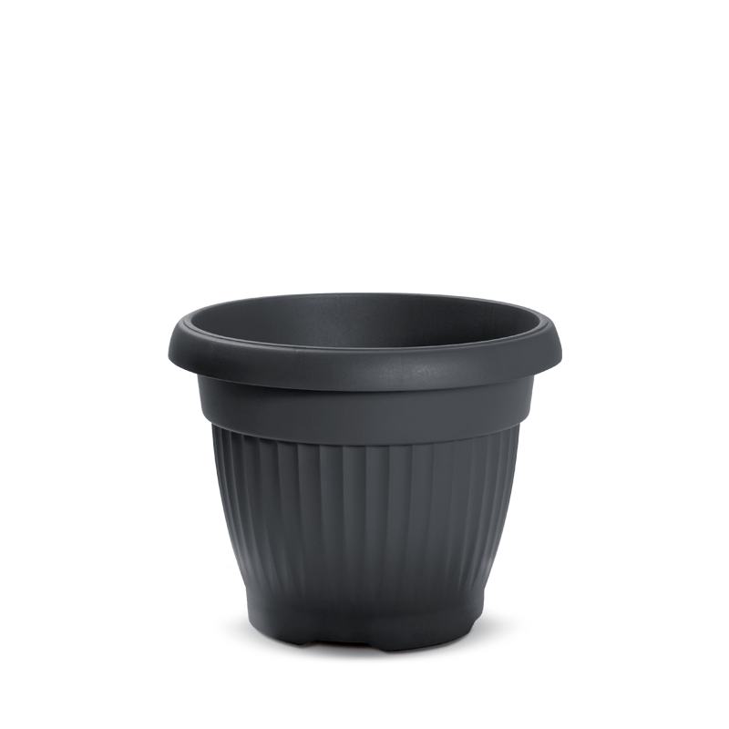Product View 0