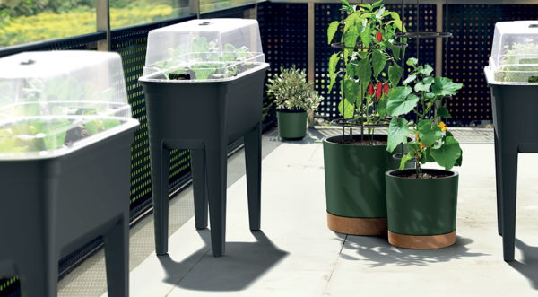 Product View 1