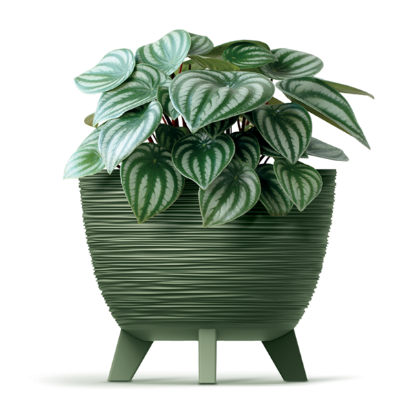 Product View 1