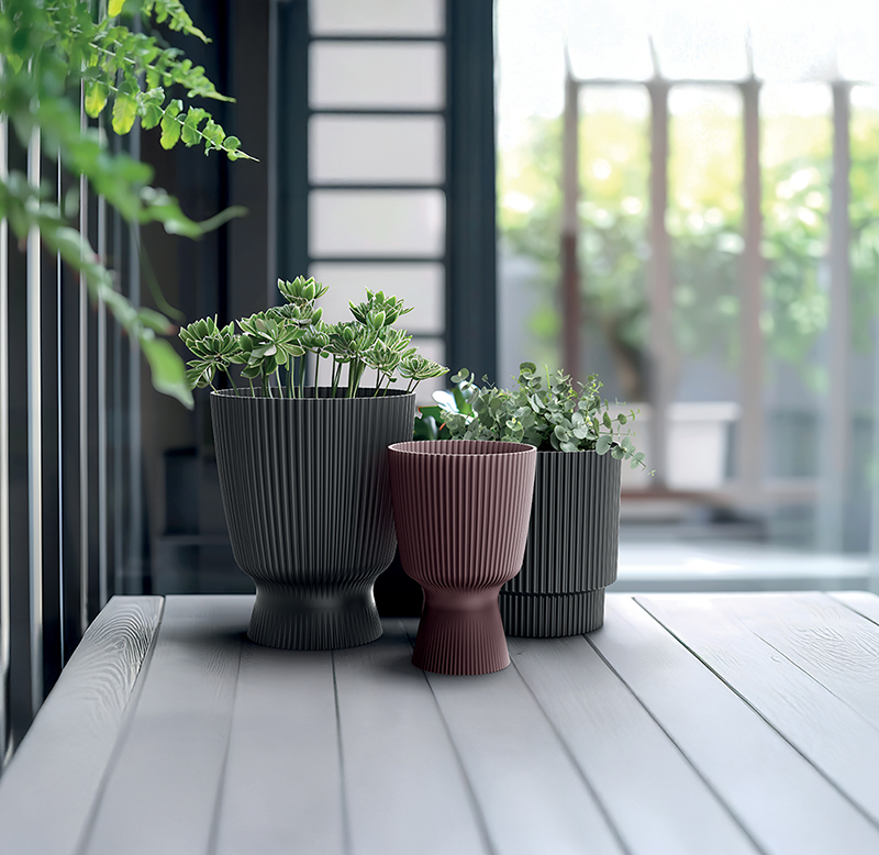 Milly_DMIL_DMIG_DMIN_aranz_01